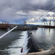 Dam in lower Yakima River