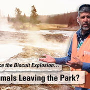 Thumbnail showing man in orange vest in front of a steaming geyser basin