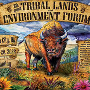Watercolor painting of a bison on a prairie with culturally significant prairie plant species in the foreground