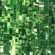 Landsat 9 image of cropland in southeastern Missouri