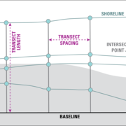 diagram showing transect lines on a shoreline