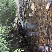 Mundt Creek