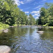 A picture of a river with green banks and trees on both sides and blue sky.