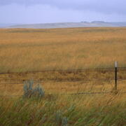 A grassland with a barbed wire fence in the foreground and a rolling hill in the distant background
