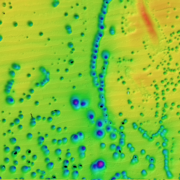 Map with yellow, red, and green patches with blue and purple dots