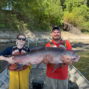 scientists holding a black carp in a boat