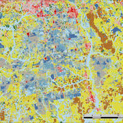 Land cover image with various colors indicating land cover types