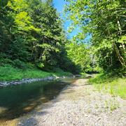 A drier stream bed in the summer. 