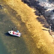 aerial view of small boat near pond shoreline