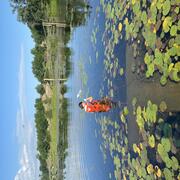 A woman stands in the water amongst lily pads holding a sampling bottle.