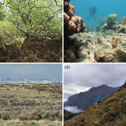 Photos of coastal wetland, coral reef, dryland, and alpine ecosystems