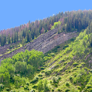 geologic outcrop with fold and fault