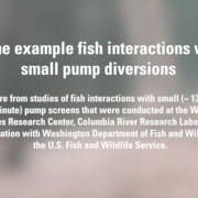 Cover image for fish screen video