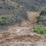 Muddy flash flood waters rush down a desert canyon during a rainstorm