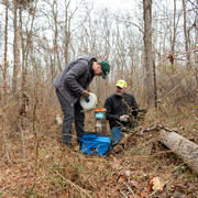 In a forest, one person measures a groundwater well while the other one inputs data into a laptop.