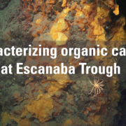 Image of a deep-sea sulfide mound at Escanaba Trough with the text "Characterizing organic carbon at Escanaba Trough"