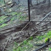 mud and trees flowing through a channel