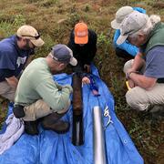 group of scientists look at a freshly extracted peat core