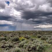 rain falling from dark storm clouds over a field of sagebrush and grasses