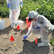 two gloved hands hold a small ziploc bag containing a paper towel. Person is dressed in white body suit. Plants in background