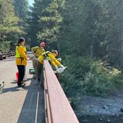 Scientists collect water sample from bridge