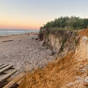 Eroded dunes topped with palmetto shrubs on a beach at dusk