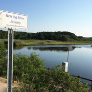 Herring River Estuary, Wellfleet, Massachusetts