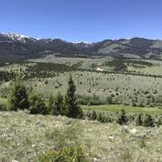 a sagebrush landscape dotted with trees, snow-capped mountains and blue sky in background