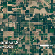 A satellite image showing fields in various shades of greens and browns