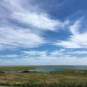 Salt marsh in coastal Massachusetts (Cape Cod).