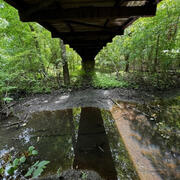 Looking at a small stream flowing over a riffle under a bridge