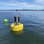 A yellow buoy holding water quality equipment floating in a bay.