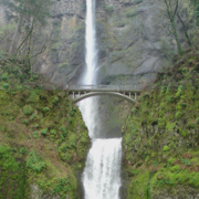 white water falls over basalt wall. Stone walking bridge crosses rock covered in temperate rainforest vegetation in center