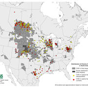 Map of North America showing locations where chronic wasting disease has been detected.