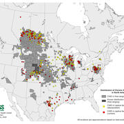 Map of North America showing locations where chronic wasting disease has been detected.