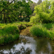Riparian Assessment in Orson, Pennsylvania