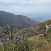 vegetation covered hillslopes