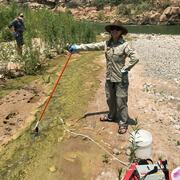 A woman with a USFWS shirt holds an eDNA sampler in Spencer Creek that flows into the Colorado River