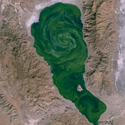 A satellite picture of a lake with an algae swirl