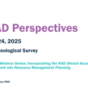 RAD Perspectives Webinar Intro Slide