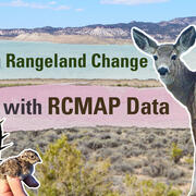 Thumbnail for "Visualizing Rangeland Change with RCMAP Data" Video