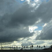 Rain clouds over palm trees in Los Angeles