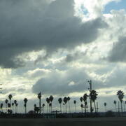 Rain clouds over palm trees in Los Angeles