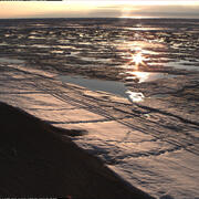 Sea ice at Nuvuk, Alaska on June 22 2024