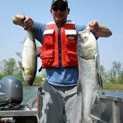 Silver and Bighead carp collected in the Illinois River.