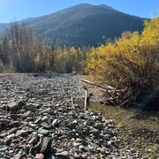 Dried riverbed, vegetation on riverbanks, and forested mountain in background