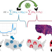 Graphic breakdown of HPAI transmission modeling approach