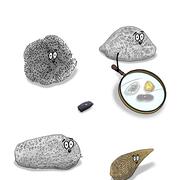 Cartoon illustration of several types of microscopic proxies of varying sizes