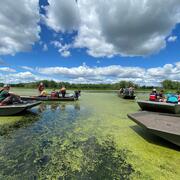 Six boats on a lack dotted with green algae, with groups of people in each boat, under blue skies scattered with white clouds