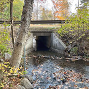 Waits River Tributary near West Topham, VT